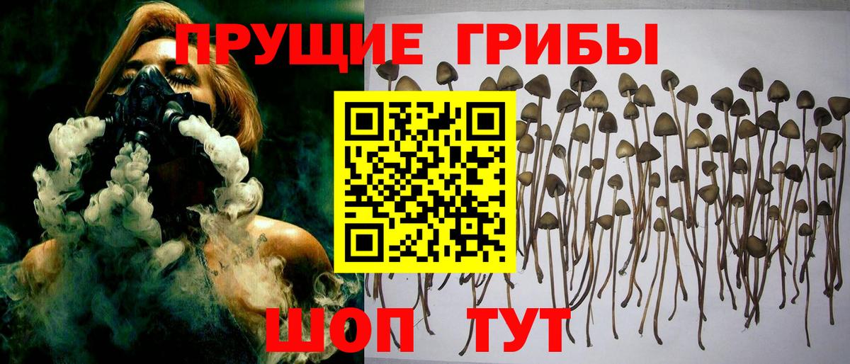 Галлюциногенные грибы GOLDEN TEACHER  Вход с VPN  Лысьва  наркотики  Галлюциногенные грибы ЛСД 