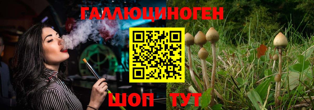 Псилоцибиновые грибы Magic Shrooms Лысьва
